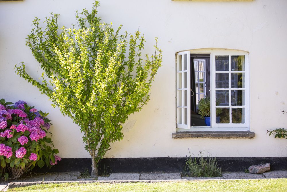 Higher Eggbeer Devon